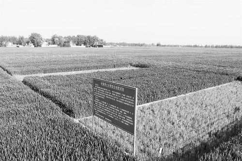 国产丝袜秦先生在线播放,秦先生在线播放，带你领略丝袜风情