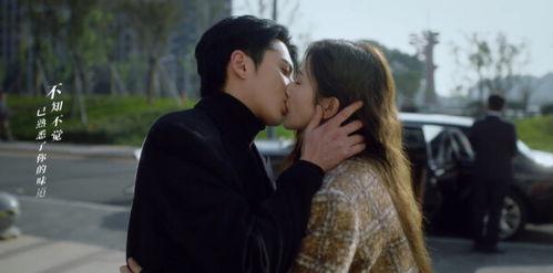 以爱为营国产剧在线观看,国产剧中的情感盛宴，在线观看，共赴心灵之旅