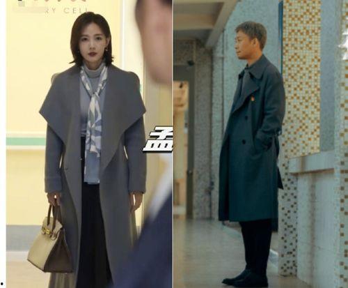 国产影视剧风衣在线播放