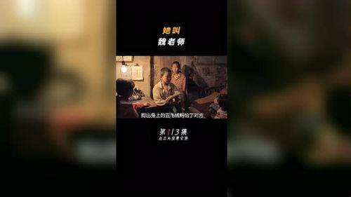 电影国产先生在线播放中文,国产电影中的璀璨明珠