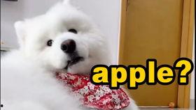 妞妞国产全集在线观看,重温青春记忆，笑中带泪的国产经典