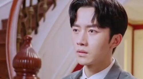 复仇记国产在线观看